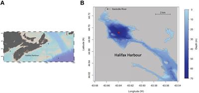 Speciation of dissolved inorganic iodine in a coastal fjord: a time-series study from Bedford Basin, Nova Scotia, Canada